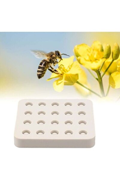 STARSTAR Royal jelly grafting cup, silicone mold for beekeeping, beeswax quee...