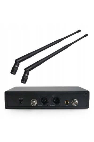 DNA Sistem wireless VM cu două microfoane