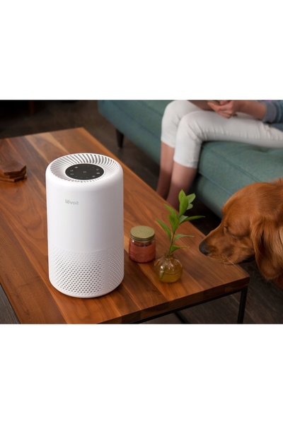 NO BRAND Filtru pentru purificatorul LEVOIT Vista 200