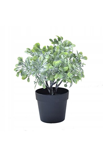 ITIMPORT PLANTĂ ARTIFICIALĂ ÎN GhiveCI 20cm, ARBORELELĂ REALISTĂ FRUMOASĂ PEN...
