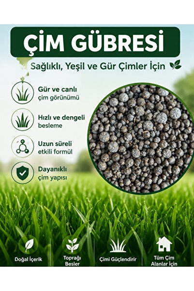 Dört Mevsim Tohumculuk 1 KG Çim Gübresi Granül Çim Besleyici Yeşil ve Gür Çim...
