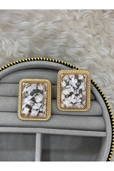 Bozhi Elegant Earrings Daily Elegance Gift Steel