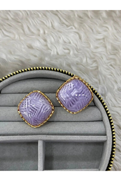 Bozhi Elegant Earrings Daily Elegance Gift Steel