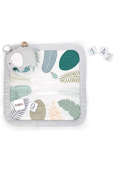 Ingenuity SPROUT SPOT BABY MILESTONE PLAY MAT