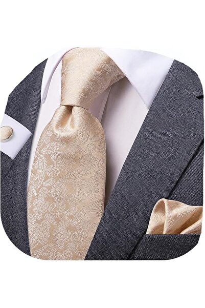 Dubulle Mens Paisely Silk Tie for Men Necktie and Pocket Square Set
