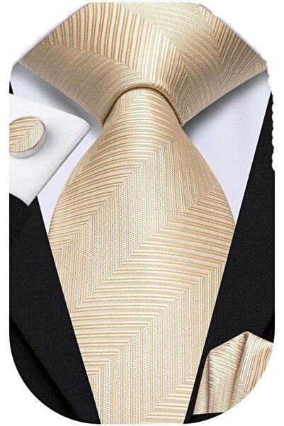 Dubulle Mens Paisely Silk Tie for Men Necktie and Pocket Square Set