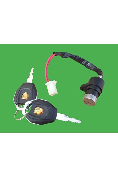 karagöz motor ELEKTİRİKLİ BİSİKLET KONTAK YÜK (2 KABLO)