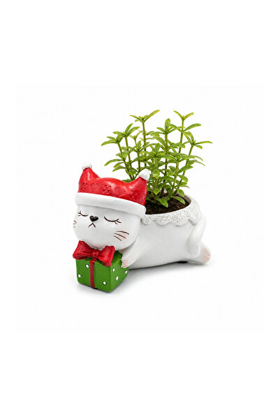 Generic Marketplace Beram Animal Christmas Flower Pot Cat Polyresin Cute Kitt...