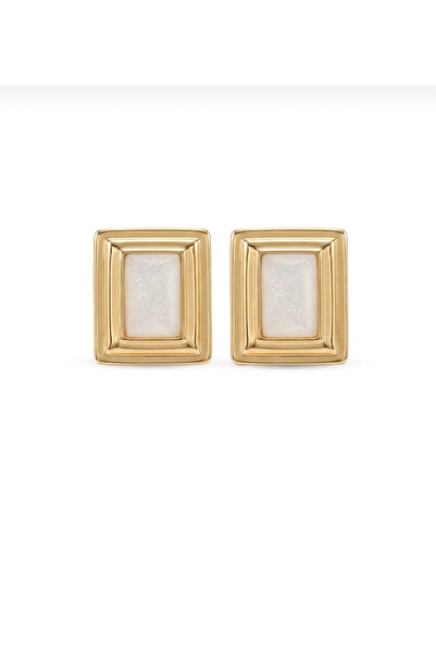 Generic Brand Steel Gold Sany Earrings