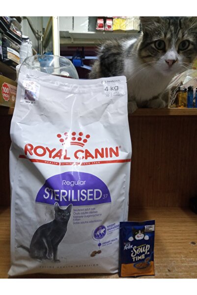 Sterilised 37 Kısırlaştırılmış Yetişkin Kedi Kuru Maması 4 KG+10 ADET FELİX TAVUKLU KEDİ ÇORBASI 48 GRAM