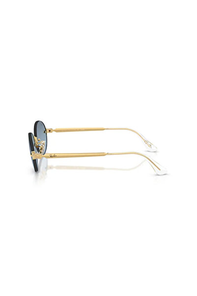 Ray-Ban LUXOTTICA RAYBAN METAL Unisex Güneş Gözlüğü 0RB3929 001/S254HN