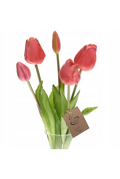 NO BRAND TULIPANY GUMO FLORI DE SILICON FLORI DE LALELE CU EFEKT DE FLORI VIV...