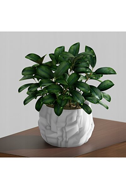 NO BRAND GHIVECI MODERN DIN PLASTIC PENTRU FLORI, DESIGN PREMIUM, ALB