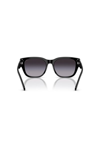 Diesel LUXOTTICA ASETAT UNISEX GÜNEŞ 0DL2005 20018G53 HN