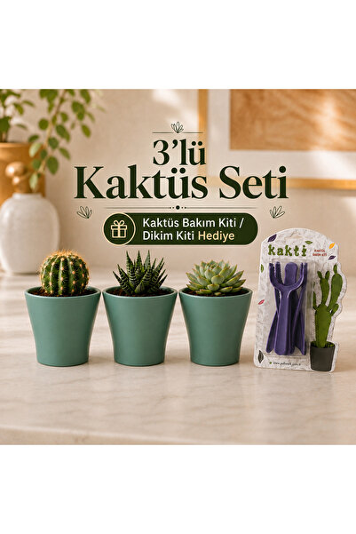 Poliwork 3'lü Mini Saksı Seti Kaktüs Saksısı Sukulent Saksısı Kaktüs Bakım Ki...