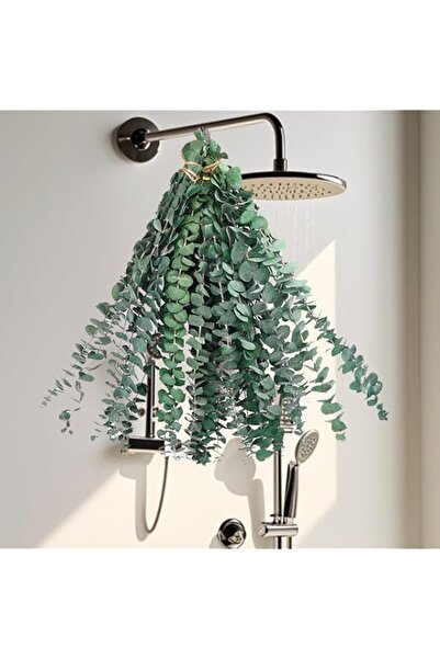 Generic 12 Pcs Eucalyptus For Shower,17"" Natural Fresh Hanging Stems,Real Le...