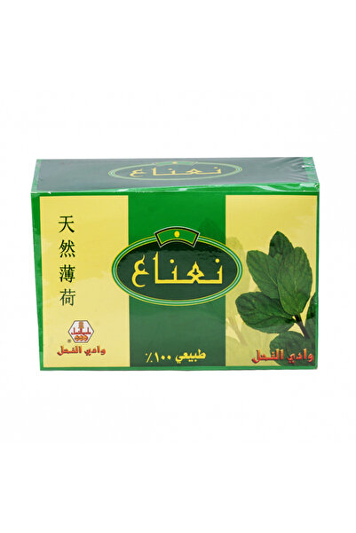 Wadi al-nahil Mint Syrup 24 Bags/Bee Valley