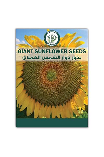 Generic Plantology Lab Giant Sunflower Seeds for Planting - Tall Sunflower Se...