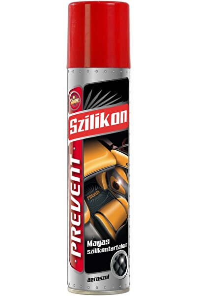 OEM Spray auto, aerosol cu silicon, pentru intretinere suprafete din plastic,...