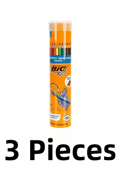 Bic 3 Pieces of Evolution Dry Paint Pens 12+1 Metal Tube