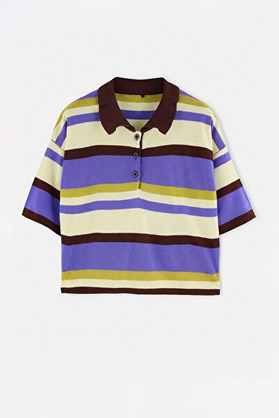 Trendyol Curve Pulover multicolor cu guler polo, cu dungi, tricotaj sezonier ...