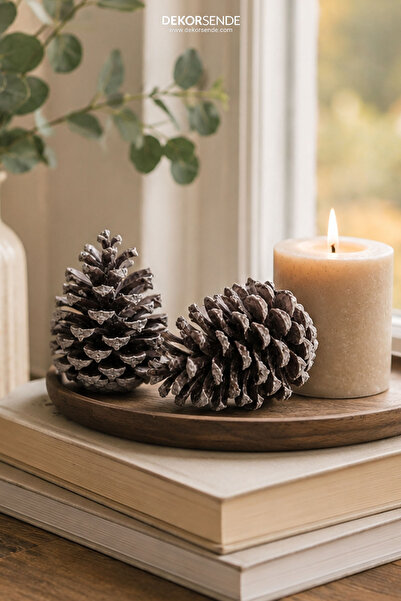Dekorsende Lila Beach Pinecone - пакет от 2 броя