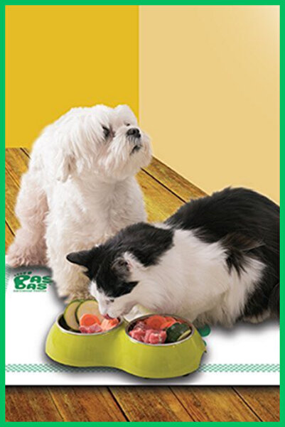 basbas Kaydırmaz, Hijyenik, Su Emici, Doğa Dostu Ve Pratik Köpek - Kedi Evcil...