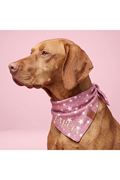 İsme Özel Köpek Bandana İsimli Köpek Fular Kişiselleştirilebilir Köpek Bandanası (Yıldız Desenli)