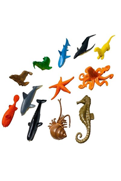 FEN TOYS Deniz Hayvanları Deniz Atı Ve Yıldızı Salyangoz Yunus Köpek Balığı 1...