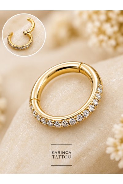 Karınca Piercing %100 Titanyum Piercing Zirkon Taşlı Su Taşı Halka Piercing Helix Dudak Rook Kulak Burun Tragus Küpe