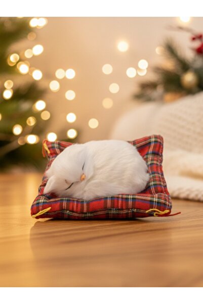 GiFi Peluş Yavru Kedi Oyuncak Minder Üstünde Uyuyan Kedi Küçük Boy 14 x 11