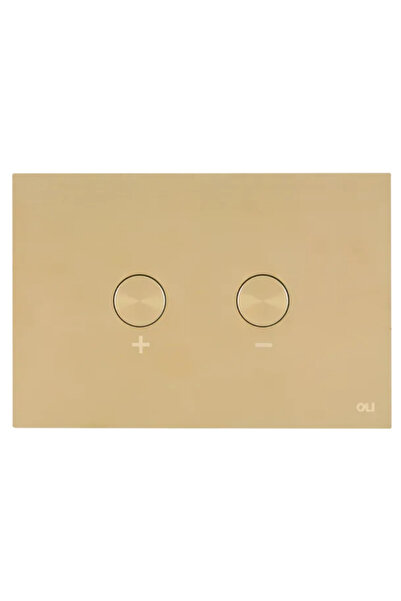 OEM Buton pneumatic, OLI, compatibil OLI, Auriu deschis, 21.5x14.5cm, Oțel in...