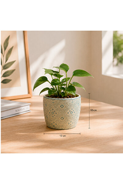 Generic Decorated ceramic plant pot