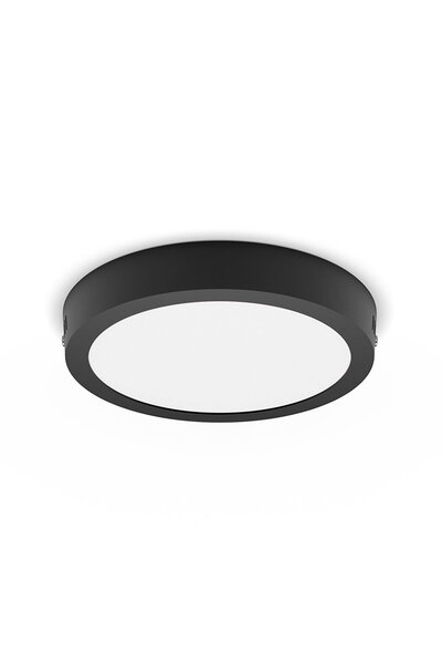 Philips Magneos Rd 12W 2700K Siyah Plafonyer IP20