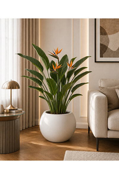 Kastasaksı 40x30 cm BEYAZ MODERN DEKORATİF PLASTİK KÜRE SAKSİ
