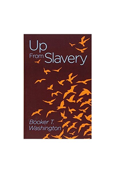 Arcturus Publishing Up from Slavery