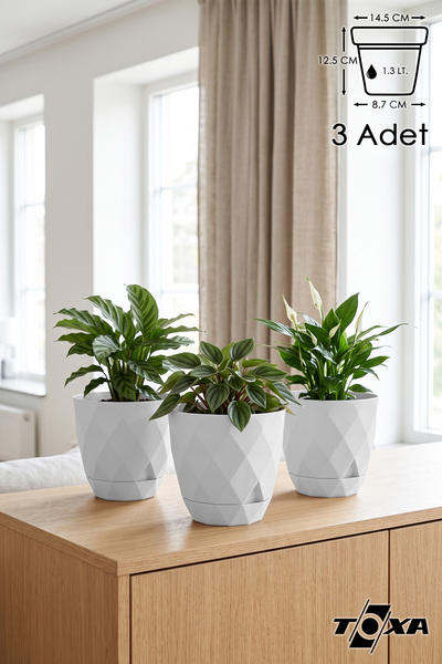 ToXA 3 Adet Karasu Plastik Yakamoz No2 Saksı Beyaz Tabaklı Dekoratif Çiçek Sa...