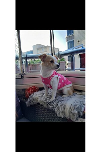 atelyu Cat Dog Outfit Pink Printed Tshirt