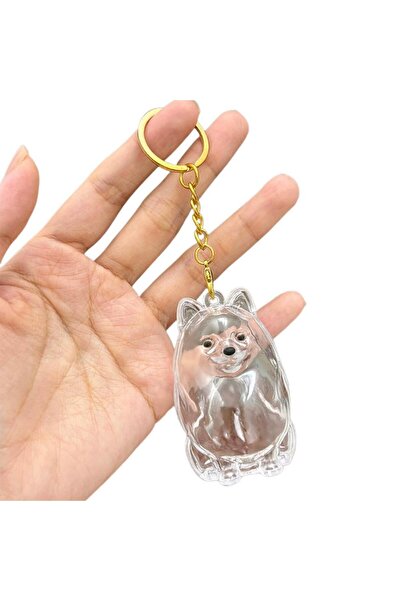 Choice7 C Dog Hair Collection Pendant Hair Storage Box Charm Pet Cute Keychai...