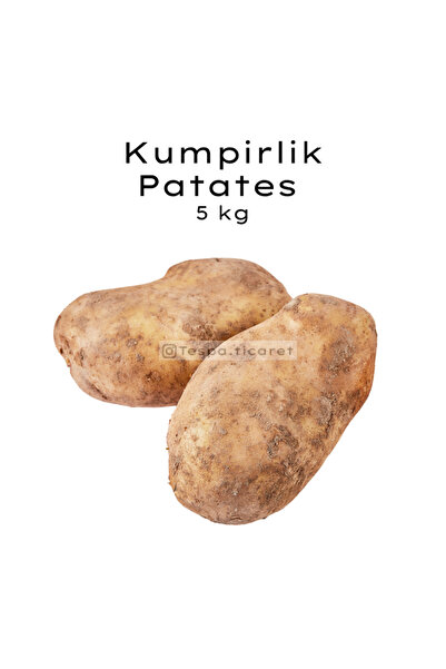 Organikiste Kumpirlik Patates 5 Kg | Büyük Boy, Nişasta Oranı Yüksek, Fırına ...
