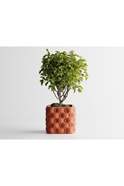 Tasarım Chesterra Dekoratif Saksı - 8 cm