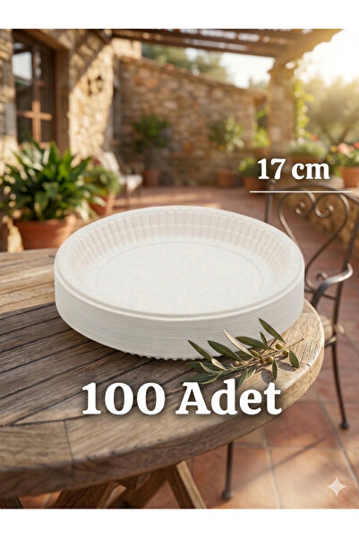 Disposable Plastic Plastik Tabak 100 Adet 17 cm