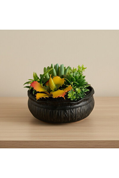 Home Box Tant Artificial Succulent Potted Plants - 16 cm