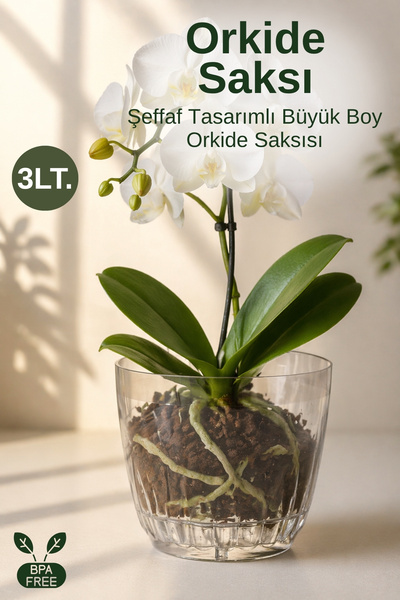 GİNZAMAİSON Büyük Boy Şeffaf Orkide Saksısı Alt Tablalı Dekoratif Saksı