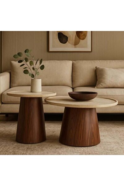 BAYTI Modern Wood Coffee Table Set