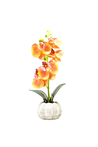 Naimeed Company Orhidee decorativă în ghiveci ceramic, 30 cm, Naimeed D4856, ...