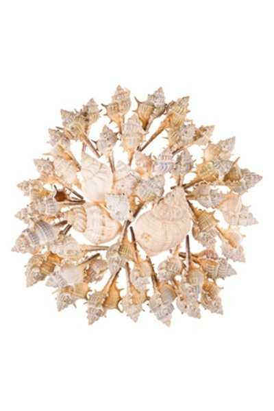 Zumzeria Scoici Decorative Albe 400g