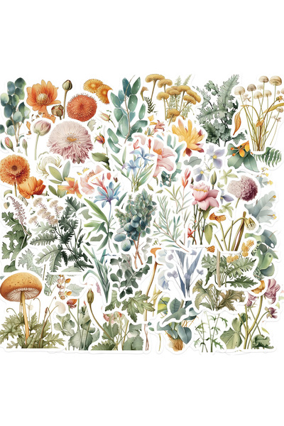 Choice 50pcs 50PCS Natural Plant Illustration Cartoon Graffiti Stickers Phone...