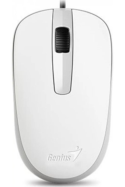 GENIUS Mouse DX-120 (31010105107)