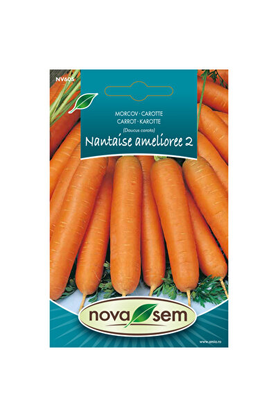 Novasem Seminte de morcov Nantaise amelioree Novasem, 2 g